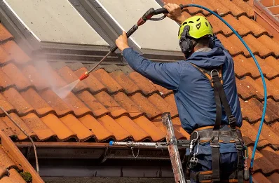 Démoussage et hydrofuge de toiture à Sagonne